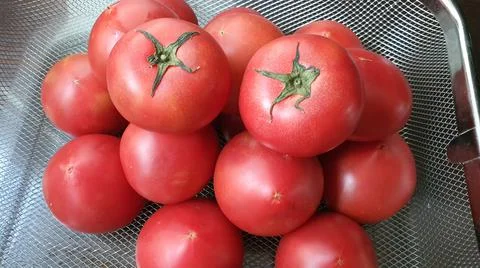 Tomatoes Stock Photos