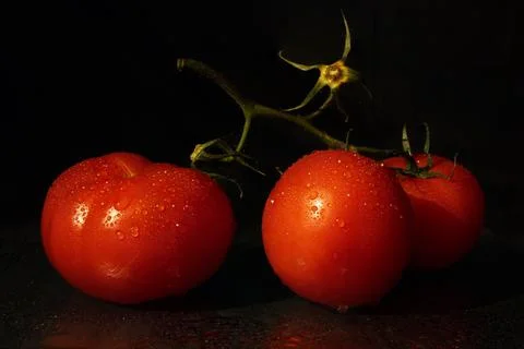 Tomatoes Stock Photos