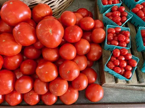 Tomatoes Stock Photos
