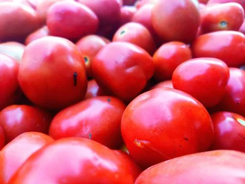 Tomatoes Stock Photos