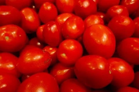 Tomatoes Stock Photos