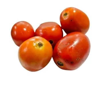 Tomatoes Stock Photos