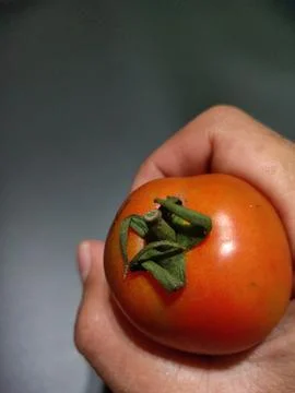 Tomatoes Stockfoto's