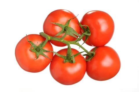 Tomatoes Stock Photos
