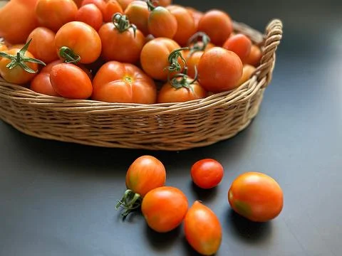 Tomatoes Stock Photos