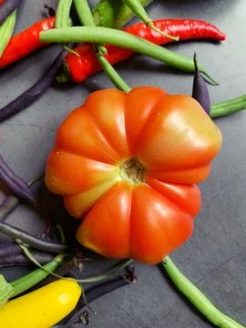 Tomatoes Stock Photos