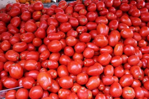 Tomatoes Foto stock