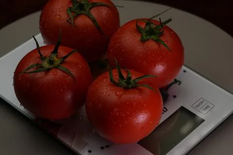 Tomatoes Stock-Fotos