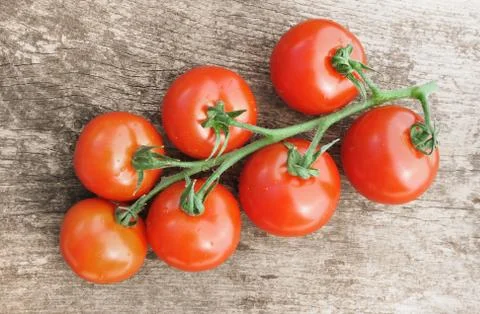 Tomatoes on a plank Stock Photos