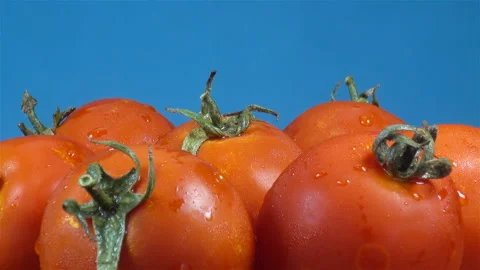 Tomatoes on a plate on a blue Stock-Footage 136509865