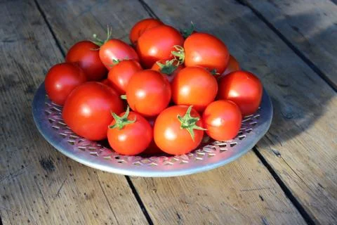 Tomatoes on plate Photos