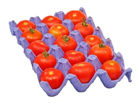 Tomatoes in a pot. Stock Photos