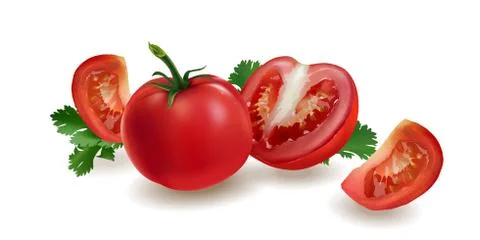 Tomatoes on a red background Stock Illustration