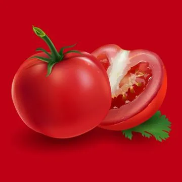 Tomatoes on a red background 스톡 일러스트