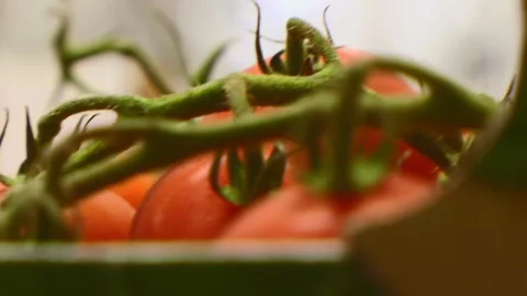 Tomatoes (Red) For A Pizza Video stock 136063510