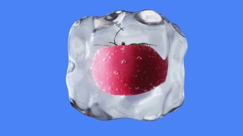Tomatoes rotate in ice cubes. Food and broadcast concept. Realistic ice material Stock Footage