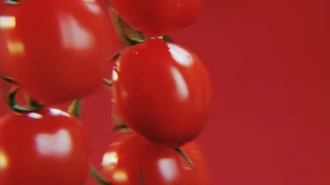 Tomatoes Rotating on a Red Background Stock Footage 70681226