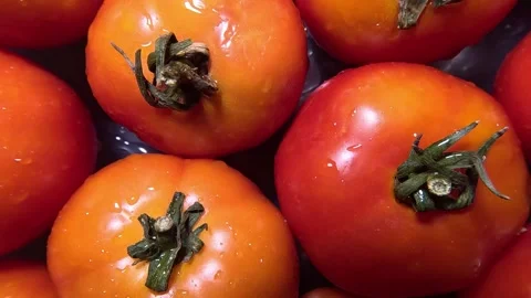 Tomatoes - Rotating Shot Stock Footage 283973535