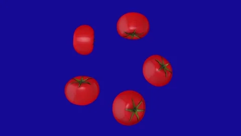 Tomatoes rotation around center point on blue screen background Stock Footage 322893409