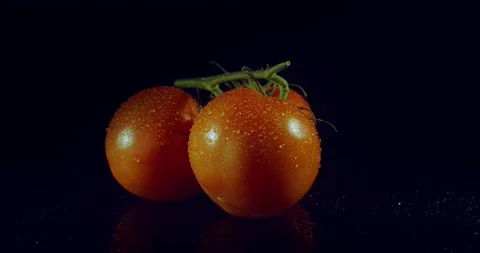 Tomatoes. Roundshot circa 360 degrees. Video stock 221188586