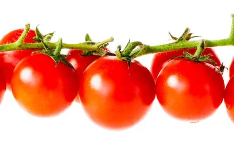 Tomatoes in a row Stock Photos