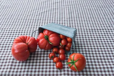 Tomatoes on a rustic cloth. Stock Photos