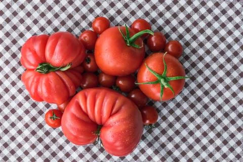 Tomatoes on a rustic cloth. Stock Photos