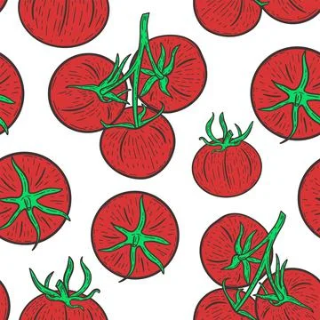 Tomatoes seamless pattern vector illustration Stock Illustration