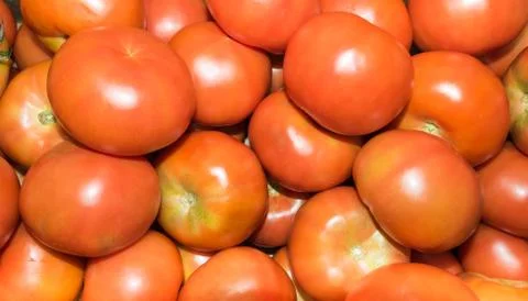 Tomatoes seen from above Stock Photos
