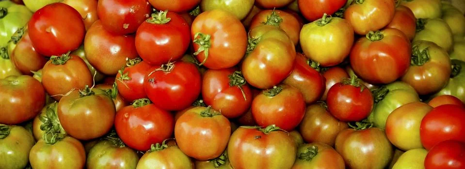 Tomatoes for selling, perfect for wallpaper and background Stock Photos