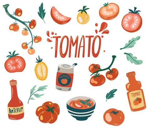 Tomatoes set. Cherry tomatoes, Branch, half and slice and slice tomatoes. Ket Stock Illustration