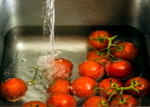 Tomatoes in the sink Stock Photos