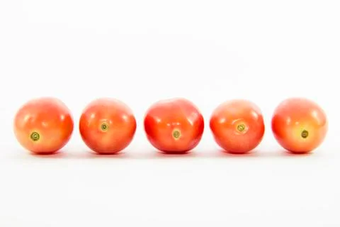 Tomatoes sized in straight line Foto stock