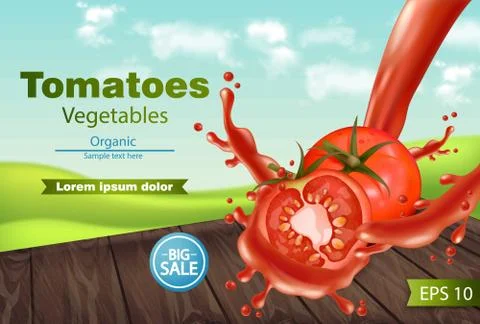 Tomatoes slice splash Vector realistic. Green eco background. Detailed 3d ban Stock Illustration