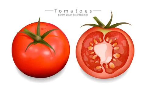 Tomatoes sliced isolated Vector realistic. Detailed 3d illustration template  Stock Illustration