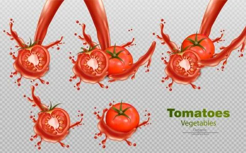Tomatoes splash isolated Vector realistic. Detailed 3d illustration template  Stock Illustration
