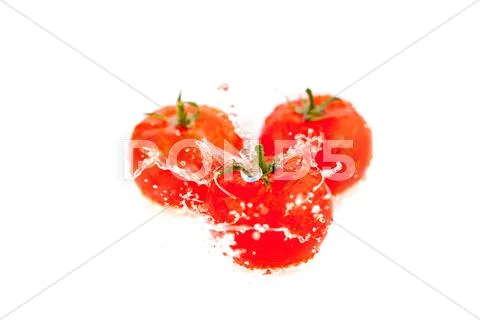 Tomatoes with splashes of water isolated on white Stock Photos