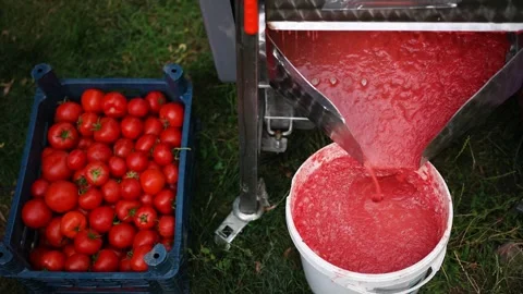 Tomatoes squeezed to make a tomato jam Stock Footage 241735523