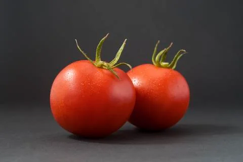 Tomatoes with stem, leaf with black background. The poor taste and lack of su Stock Photos