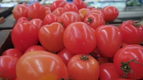 Tomatoes in the store. Fresh vegetables Stock-Footage 264640784