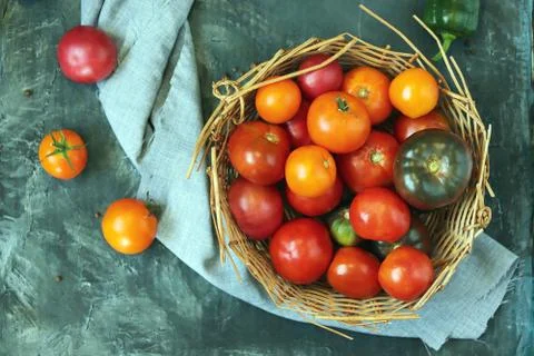 Tomatoes on the table, in a basket, top view, flat ley, harvest concept Stock Photos