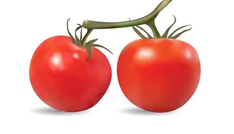 Tomatoes On The Table Stock Illustration
