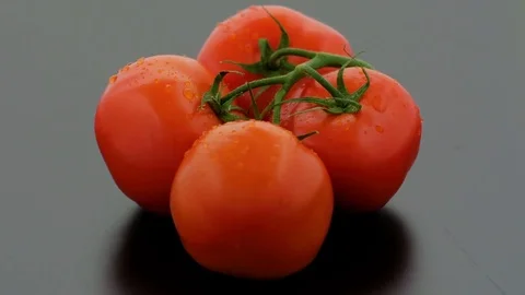 Tomatoes on Turntable - Black Background - Wet Stock Footage 75867768