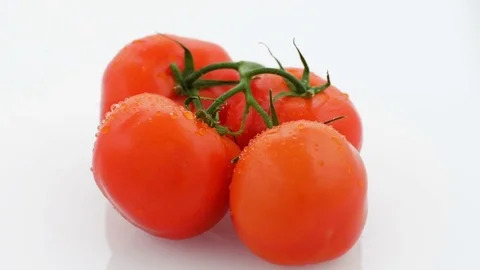 Tomatoes on Turntable - White Background - Wet Stock Footage 75866919