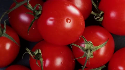 Tomatoes on a twig Stock Footage 228245885