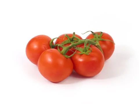 Tomatoes on a twig Stock Photos