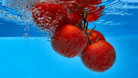 Tomatoes under water Stock Photos