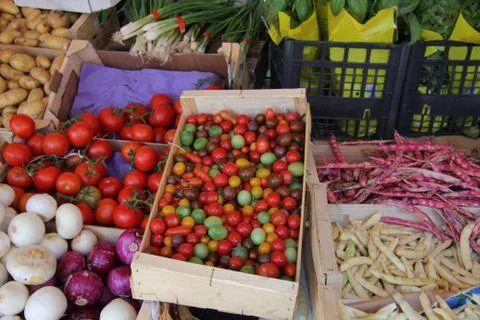 Tomatoes in various colors Stock-Fotos