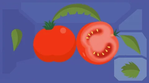 Tomatoes - Vector Graphics - Food Animation - leaves 02 Stock Footage 61270341