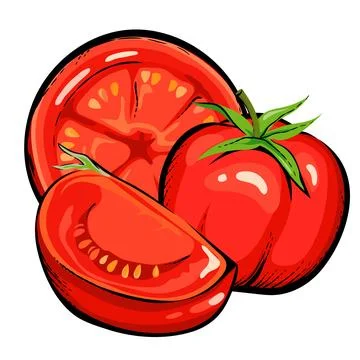 Tomatoes vector image for ketchup, tomato juice labels and food packaging. Stock Illustration